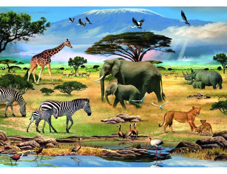 Пазл Африка с видеоэффектом, Ravensburger